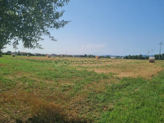 Seminativo in vendita a Noventa Vicentina - Foto 5