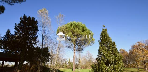 TERRENO AGRICOLO di 54401 mq (QUARTO D'ALTINO) rif. SWD1 - Foto 6