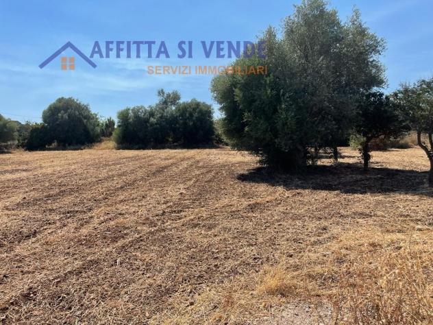 Agricolo in vendita a Siracusa - Foto 14