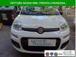 FIAT Panda Pandina 1.0 FireFly S&S Hybrid Icon Km0  rif. 24003074