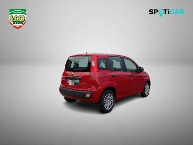 FIAT Panda 1.0 FireFly S&S Hybrid+GPL rif. 24175533 - Foto 5