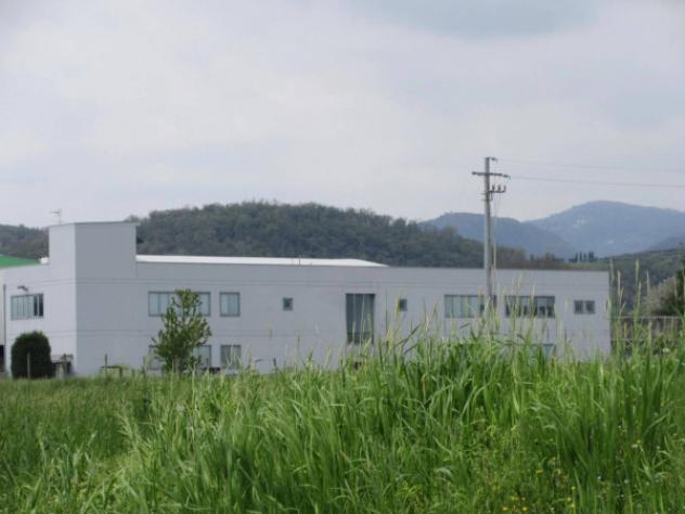 Immobile in asta di 7880 m² in vendita a Isola Vicentina - Foto 11