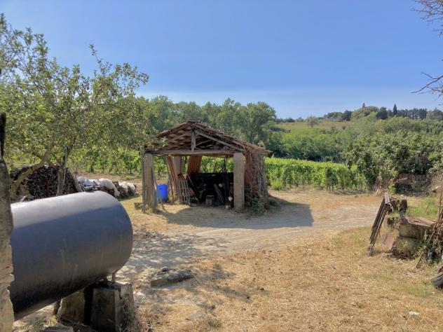 Casale in vendita a Montescudaio - Foto 8