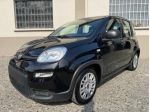 FIAT New Panda IN PROMOZIONE!!!!!1.0 FireFly S&S Hybrid rif. 23984265