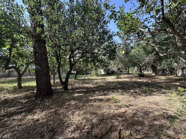 Villa in vendita a Mazara del Vallo - Foto 6