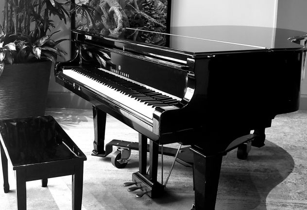 Pianista Portofino