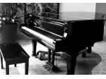 Pianista Portofino