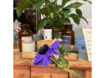 Mikela Cecco - Natural Hair Therapy