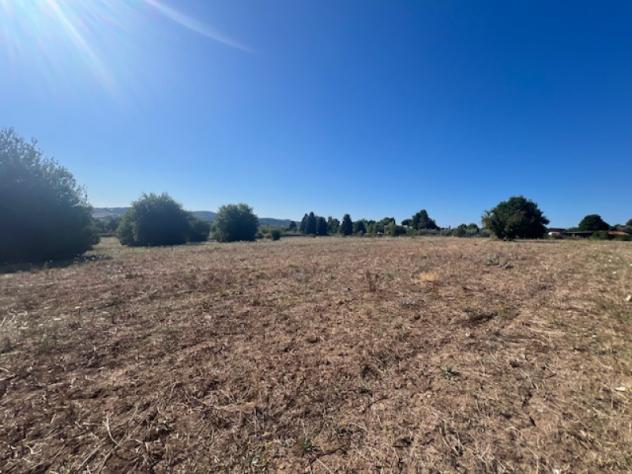 Agricolo in Strada di Sant'Anna - Foto 6