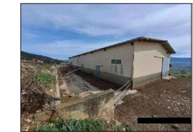 Immobile in asta di 7262 m² in vendita a Castronovo di Sicilia - Foto 10