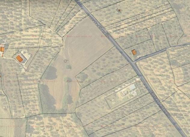 V000754 - Terreno Agricolo a Gravina in Puglia