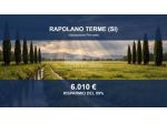 Immobile in asta di 5500 m² in vendita a Rapolano Terme