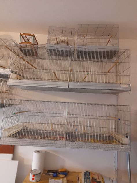 Gabbie e mangiatoie per uccellini. - Foto 3