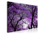 Quadro Foresta Viola 90x60 E 120x80 E 90x60 ARREDALACASA