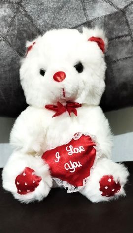 Orsetto peluche per san Valentino