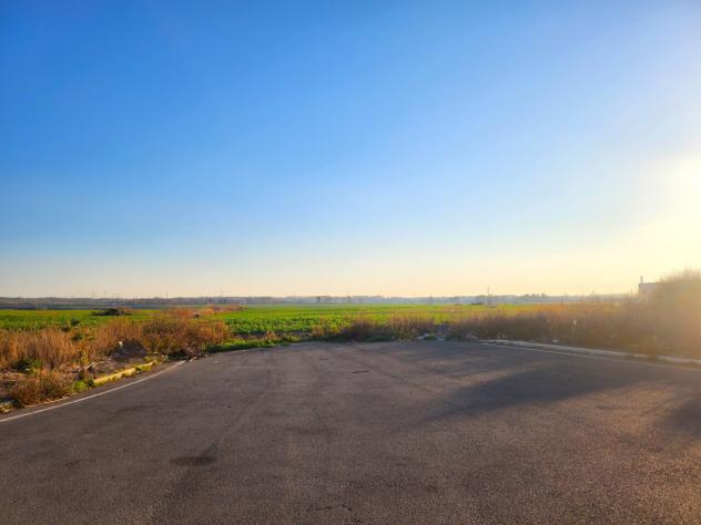 Industriale in vendita a Tarquinia - Foto 7