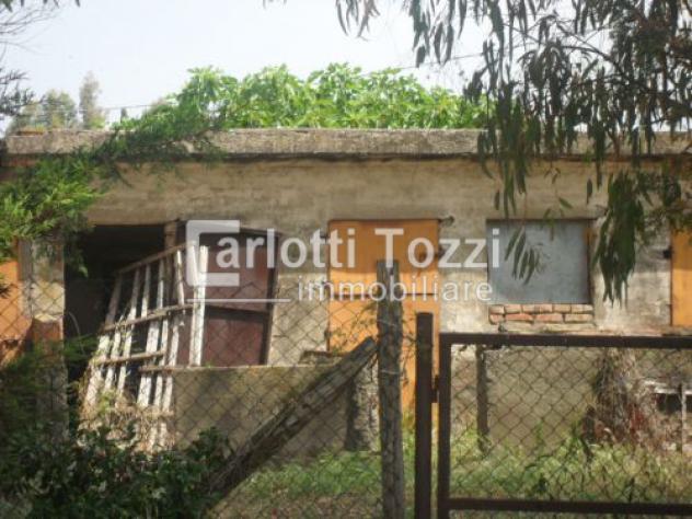 RUSTICO di 7 vani e di 160 mq (CAMPAGNATICO) rif. 01590 - Foto 7