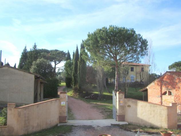 Casale in vendita a Fauglia - Foto 2