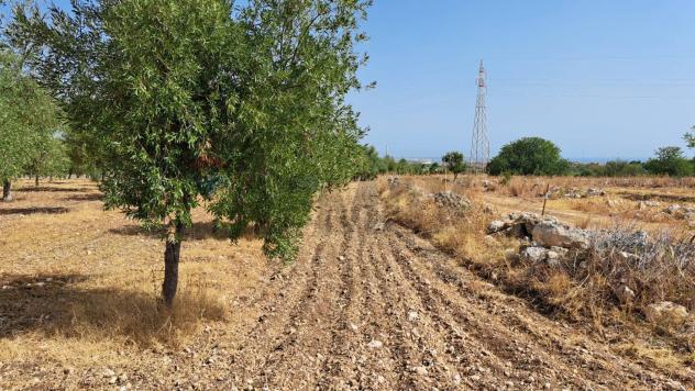 Terreno in vendita a Priolo Gargallo - Foto 3