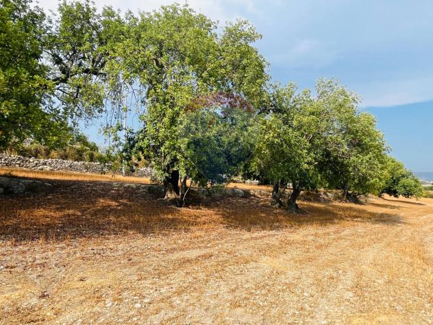 Cascina/Casale in vendita a Ragusa, San Giacomo - Foto 8