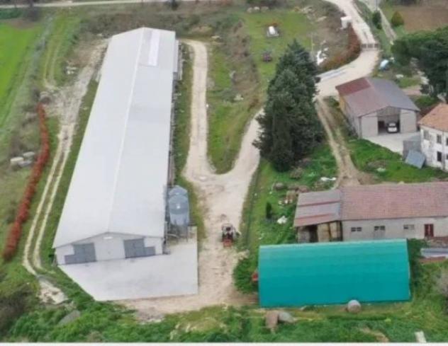 Immobile in asta di 1908 m² in vendita a Circello - Foto 2
