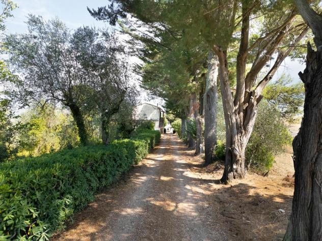 Azienda agricola in vendita a Terricciola 1000 mq Rif: 1427123 - Foto 8