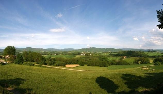 VICCHIO Preziosa azienda agricola perfettamente avviata e produttiva