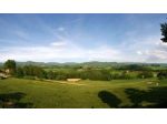 VICCHIO Preziosa azienda agricola perfettamente avviata e produttiva
