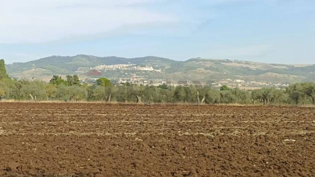 Rustico in vendita a Chiaramonte Gulfi - Foto 17