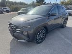 Hyundai Tucson PHEV 1.6 PHEV 4wd 288cv Exellence Auto