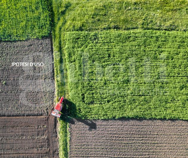 Terreno Agricolo - Chioggia . Rif.: 2739VCG - Foto 11