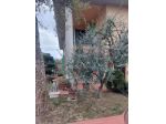 Villetta bifamiliare in vendita a Santa Croce sull'Arno 215 mq  Rif: 1451625