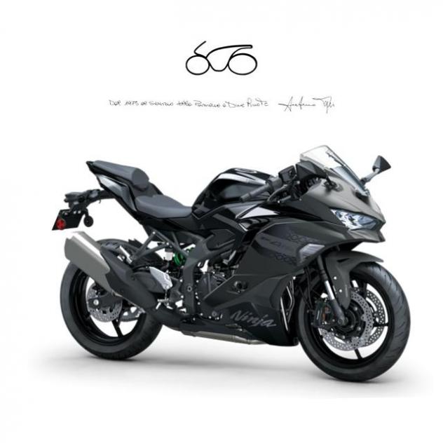 KAWASAKI Ninja ZX-4RR . rif. 22553804