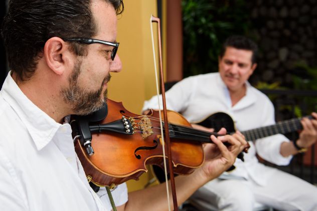 Violinista