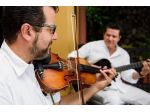 Violinista