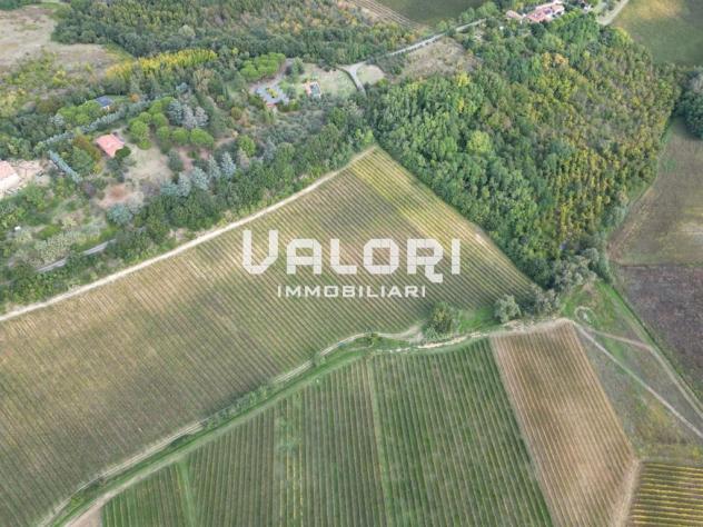 PODERE AGRICOLO DI CIRCA HA 31 OLTRE A CORTE CON CASA COLONICA E SERVIZI - Foto 10