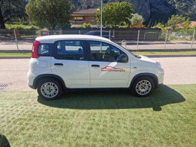 FIAT Panda 1.0 FireFly S&S Hybrid rif. 23632180 - Foto 6