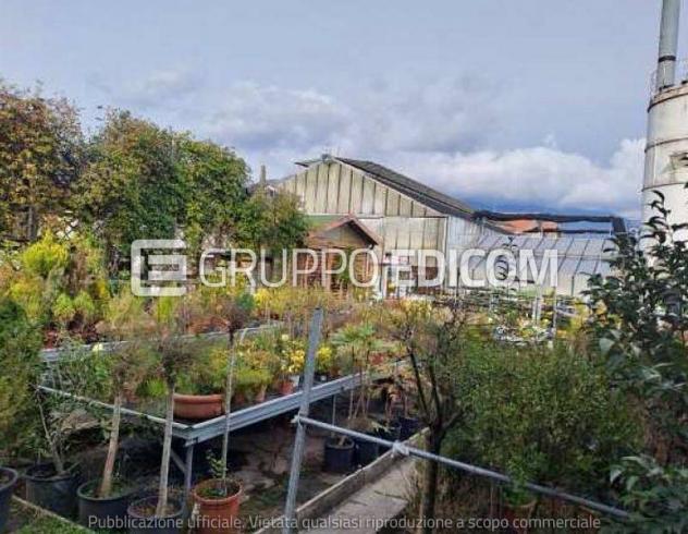 Fabbricati per attività agricole di 27005 mq in vendita a Vittorio Veneto - Rif. 4553904