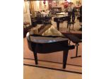 Pianista professionista a Rimini (no piano bar)