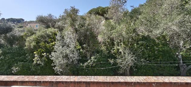 Villa d'epoca con ampi spazi esterni - Foto 4