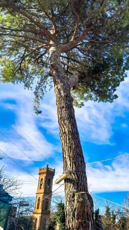 Appartamento in vendita a Balconevisi - San Miniato 155 mq Rif: 931735 - Foto 9