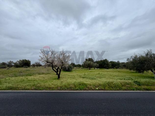 Terreno in vendita a Chiaramonte Gulfi - Foto 13