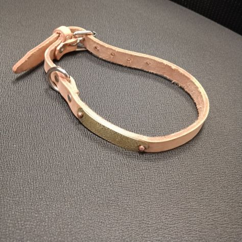 Collari artigianali in vero cuoio personalizzabili con targhetta