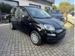 FIAT Panda Panda 1.0 FireFly S&S Hybrid Icon