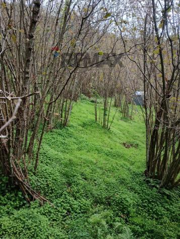 Terreno in vendita a Ficarra - Foto 7
