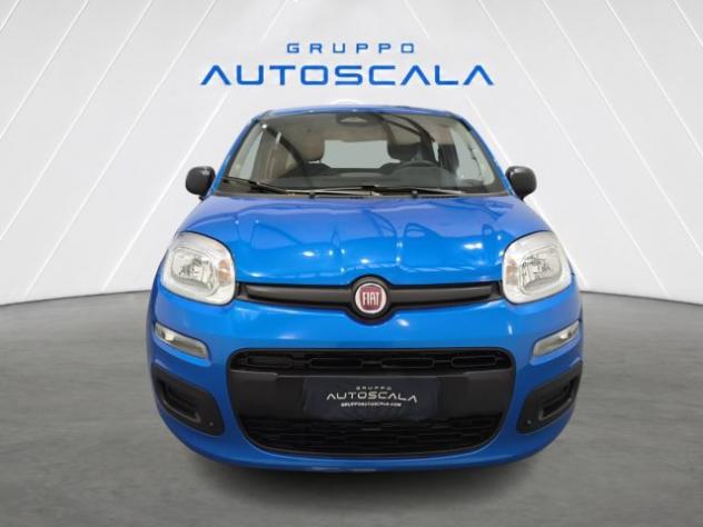 FIAT New Panda Pandina 1.0 FireFly 65 CV Hybrid Icon rif. 24157234 - Foto 2