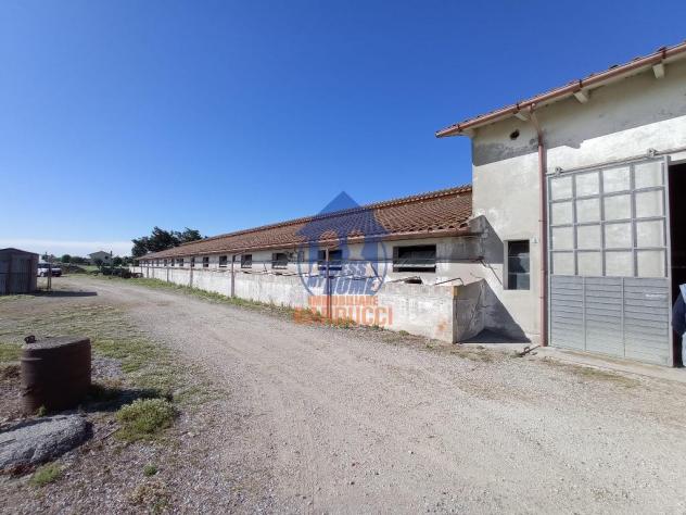 Cervia capannone con 2 ettari di terreno - Foto 5