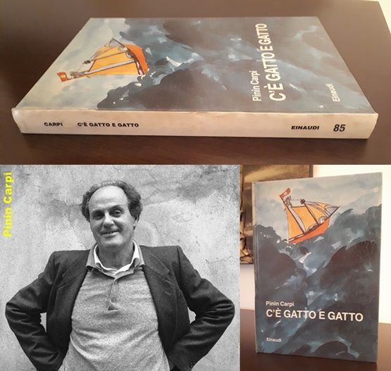 C'E' GATTO E GATTO, Pinin Carpi, Einaudi 1988.