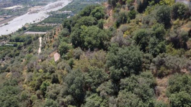 Immobile in asta di 920 m² in vendita a Merì - Foto 6