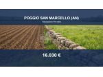 Immobile in asta di 7454 m² in vendita a Poggio San Marcello